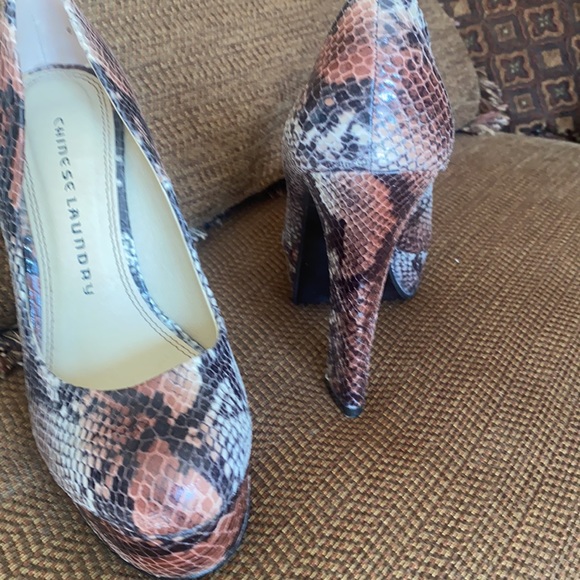 Snake type - Picture 3 of 3